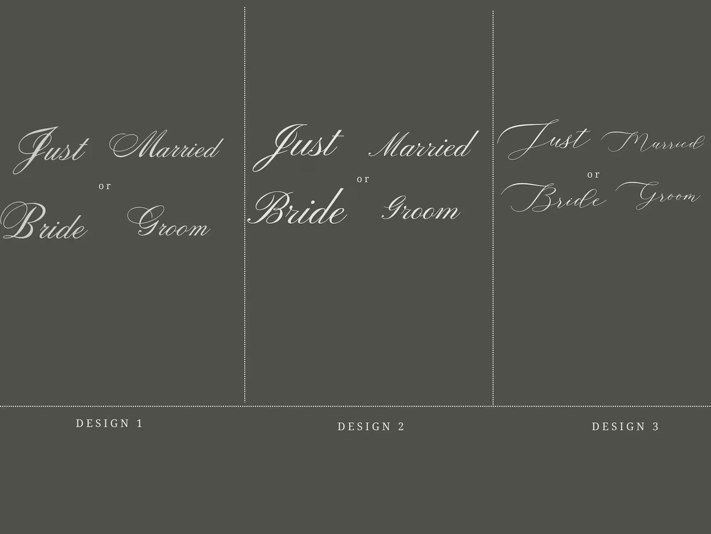 Sheer Lace Just Married Chair Signs