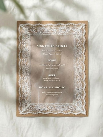 Sheer Lace Just Married Chair Signs